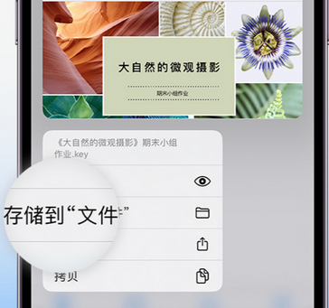 江岸apple维修中心分享iPhone文件应用中存储和找到下载文件