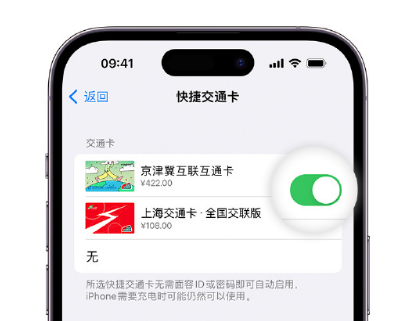 江岸apple维修点分享iPhone上更换Apple Pay快捷交通卡手绘卡面 