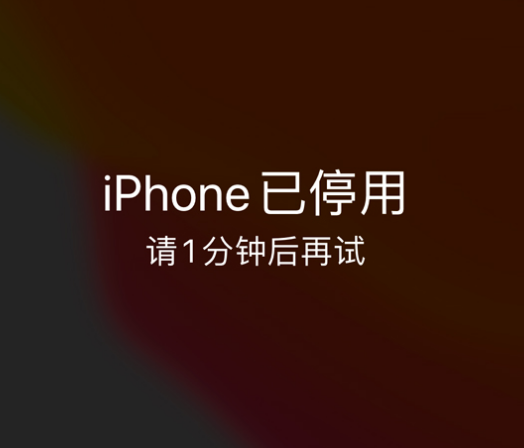 江岸苹果手机维修分享:iPhone 显示“不可用”或“已停用”怎么办？还能保留数据吗？ 