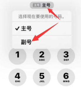 江岸苹果14维修店分享iPhone 14 Pro Max使用副卡打电话的方法 