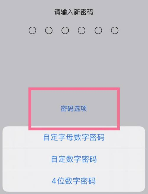 江岸苹果14维修分享iPhone 14plus设置密码的方法 