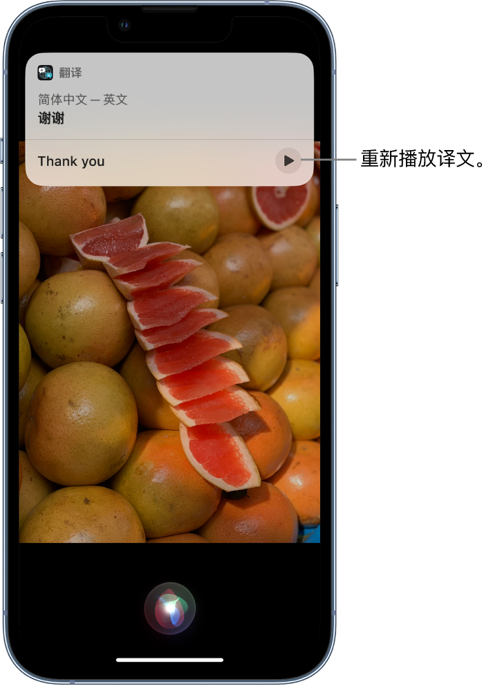 江岸苹果14维修分享 iPhone 14 机型中使用 Siri：了解 Siri 能帮你做什么 