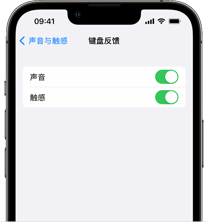 江岸苹果14维修分享iPhone 14 系列机型如何开启键盘声音或触感反馈 