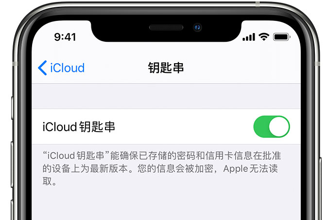 江岸苹果手机维修分享在 iPhone 上开启 iCloud 钥匙串之后会储存哪些信息 