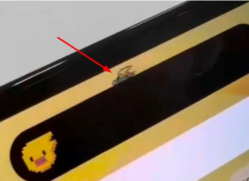 江岸苹果14维修分享iPhone 14 Pro Max灵动岛怎么养宠物 