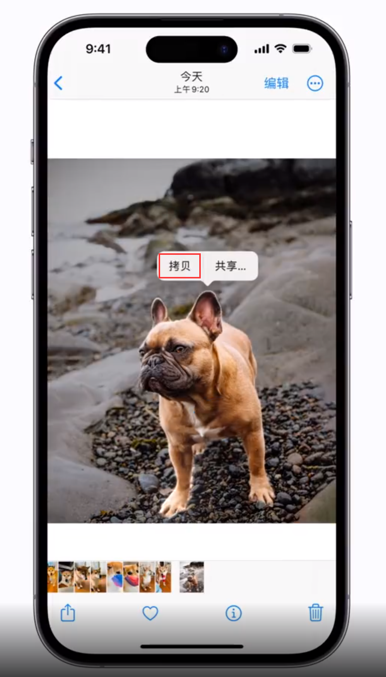江岸苹果手机维修分享 iOS 16 自带一键抠图功能 