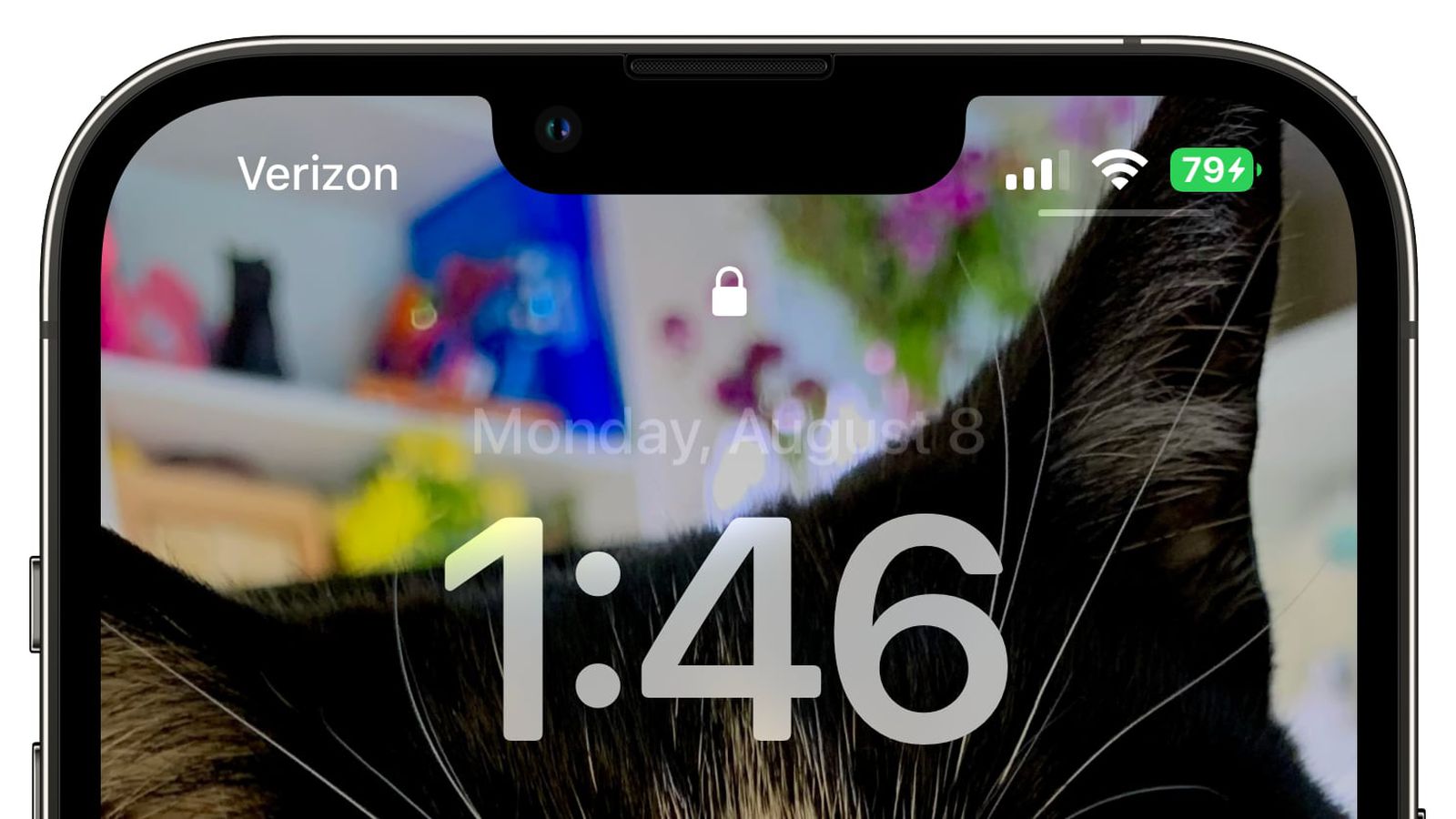 江岸苹果手机维修分享iOS 16 beta 5 支持状态栏显示电池百分比，如何开启？支持哪些机型 