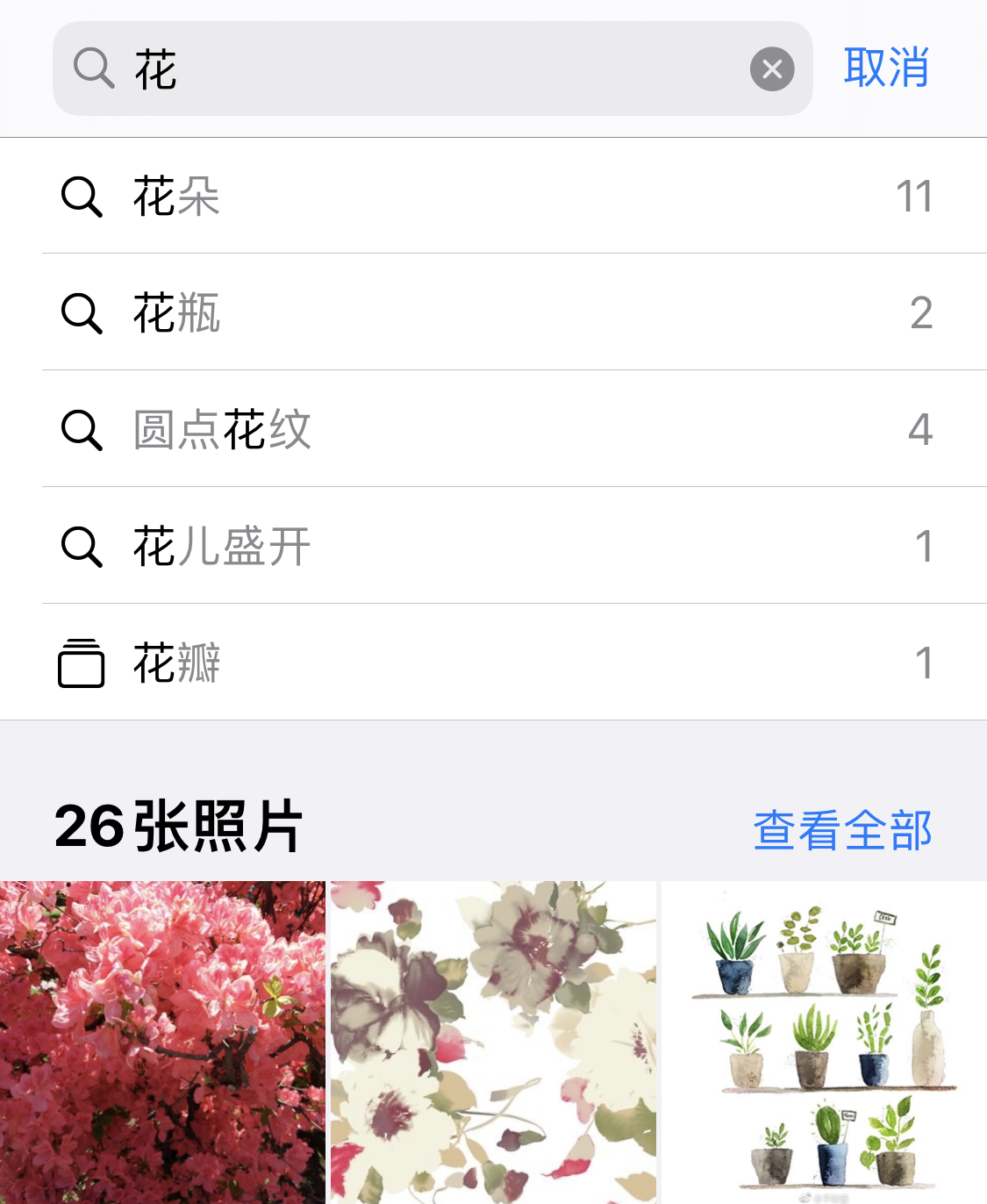 江岸苹果手机维修分享iPhone 小技巧 