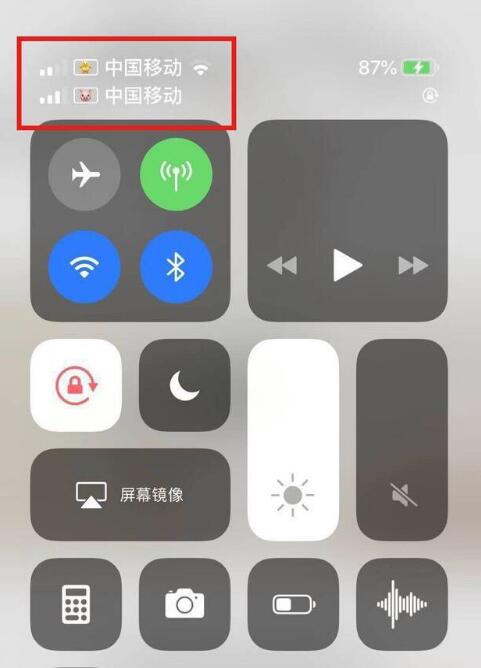 江岸苹果手机维修分享为 iPhone 12 双卡设置标签 