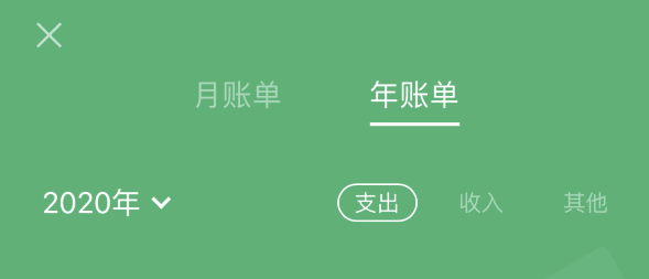 江岸苹果手机维修分享如何在 iPhone 上查看支付宝和微信年支出账单 